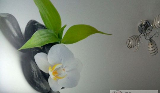 матовый потолок