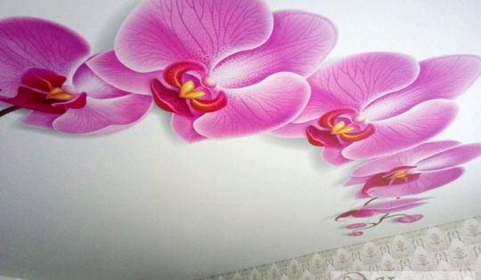 сатиновый потолок