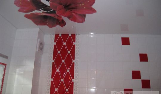 потолок в санузел