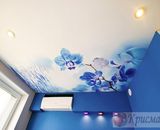 фото-потолок