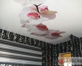 фото-потолок